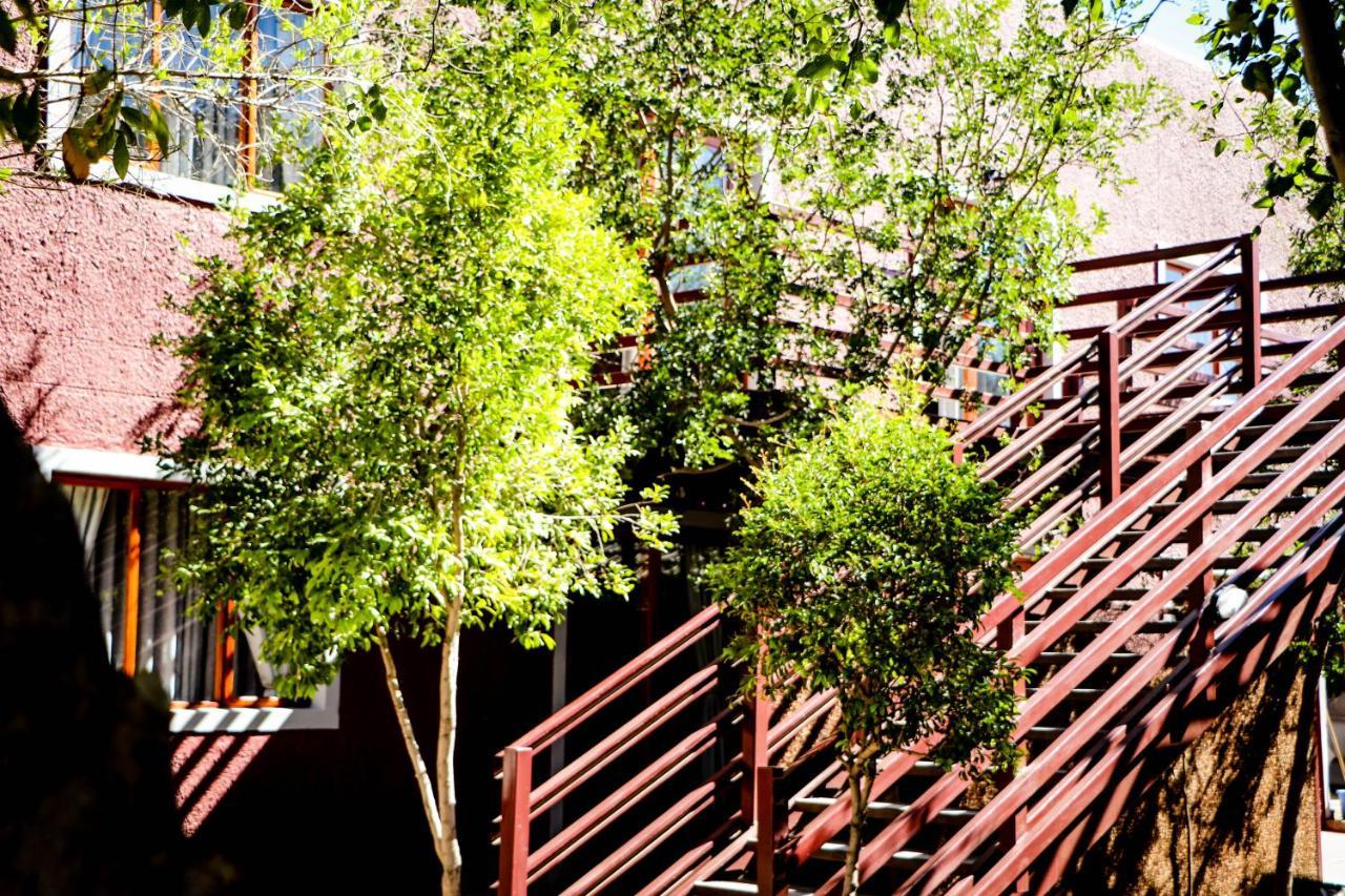 Windhoek Gardens Boutique Hotel 外观 照片